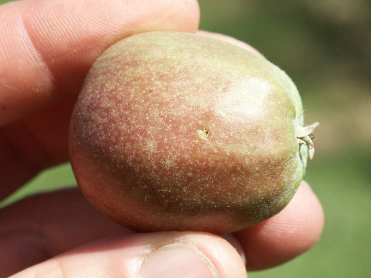 &-02 AW Frisch Einbohrung Seite.JPG